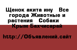 Щенок акита ину - Все города Животные и растения » Собаки   . Крым,Бахчисарай